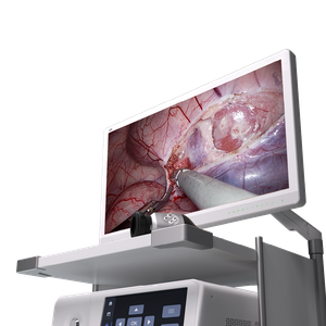 Chameleon 4K VL Endoscope System
